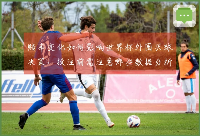 赔率变化如何影响世界杯外围买球决策,投注前需注意哪些数据分析?