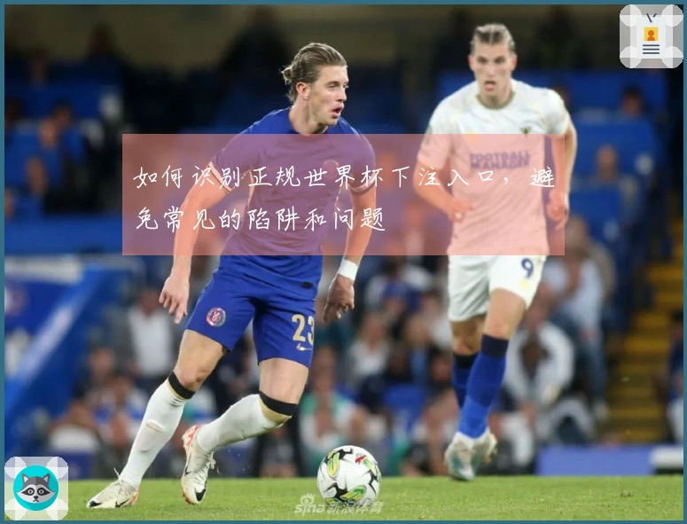 如何识别正规世界杯下注入口，避免常见的陷阱和问题