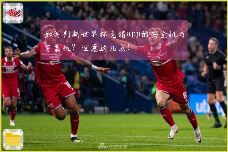 如何判断世界杯竞猜app的安全性与可靠性？注意这几点！