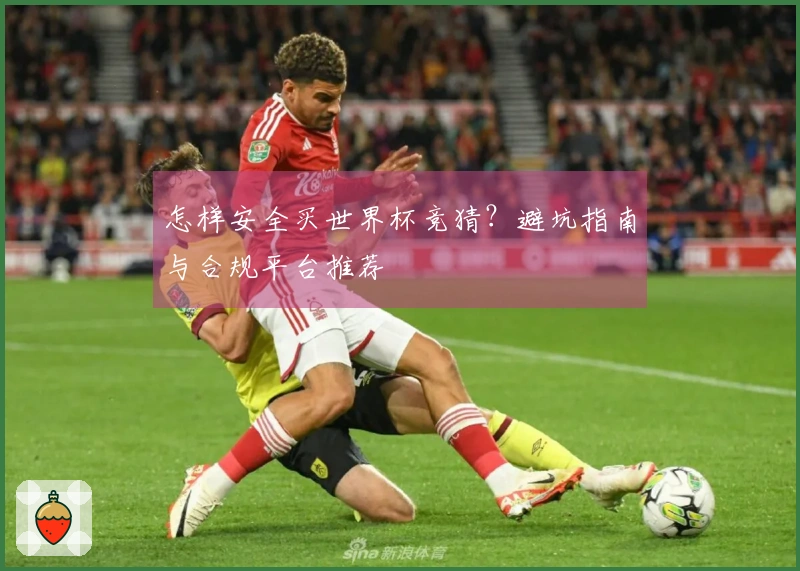 怎样安全买世界杯竞猜？避坑指南与合规平台推荐